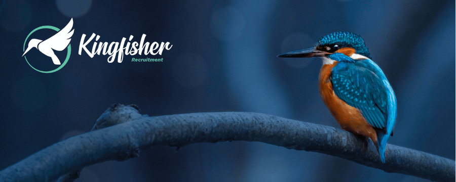 Banner Kingfisher IT, Engineering, Supply Chain & Finance