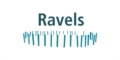 Lokaal bestuur Ravels