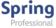Spring Professional