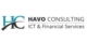 HAVO Consulting