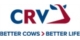 CRV BV