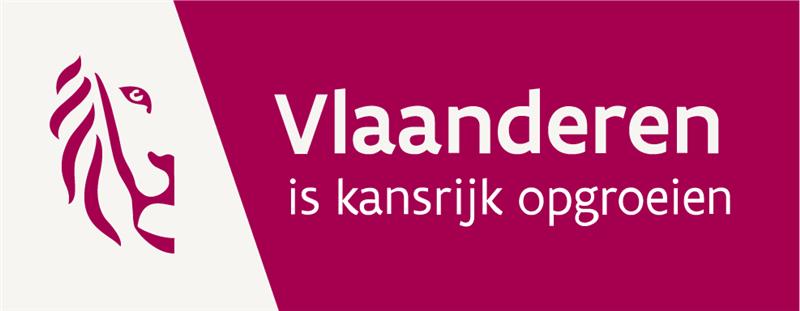 Vlaamse overheid
